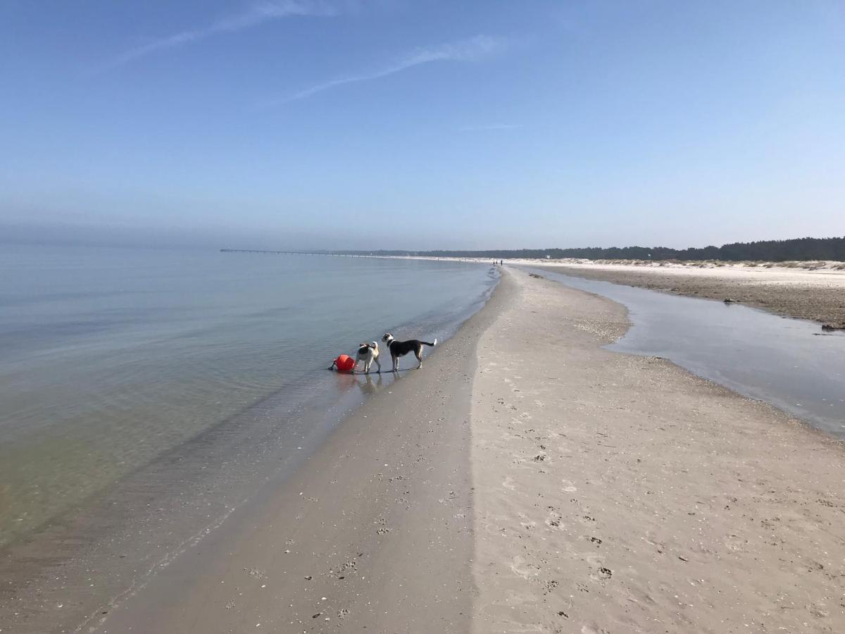 Ferienwohnung Strandperle 普雷罗 外观 照片
