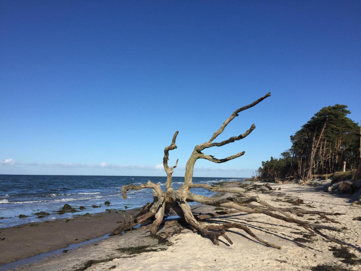 Ferienwohnung Strandperle 普雷罗 外观 照片